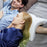 Slow Rebound Pressure Pillow - MWGadgetsStore 
